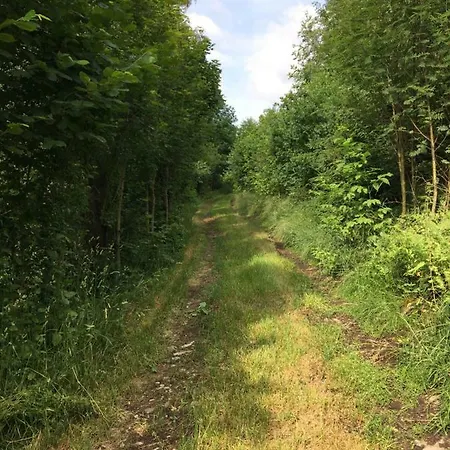 Chaloupka Σπίτι διακοπών Telč